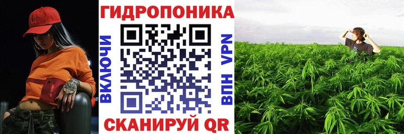 Купить закладку Саров Марихуана COCAIN ГАШ Меф мяу мяу