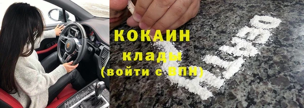 прущие грибы Алексин