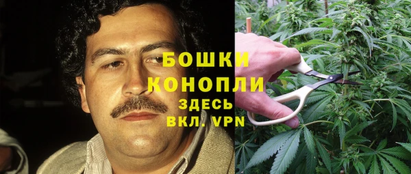 прущие грибы Алексин