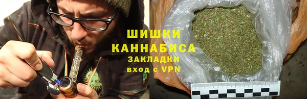 прущие грибы Алексин