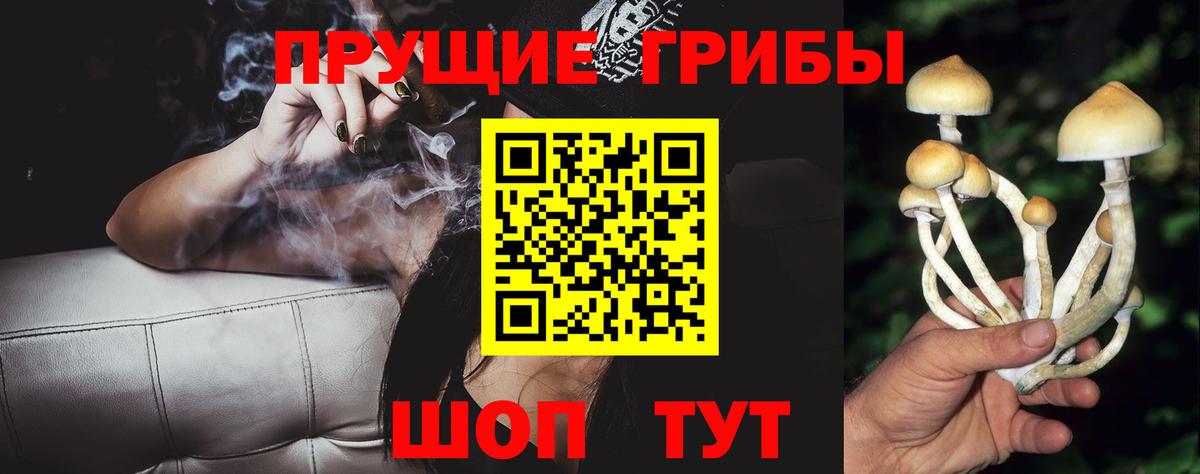 Галлюциногенные грибы прущие грибы  Псилоцибиновые грибы Psilocybe  Саров  Вход с VPN 